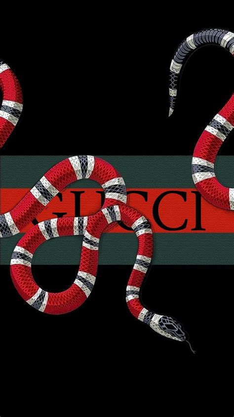 gucci wallpaper snake iphone|supreme Gucci snake wallpaper.